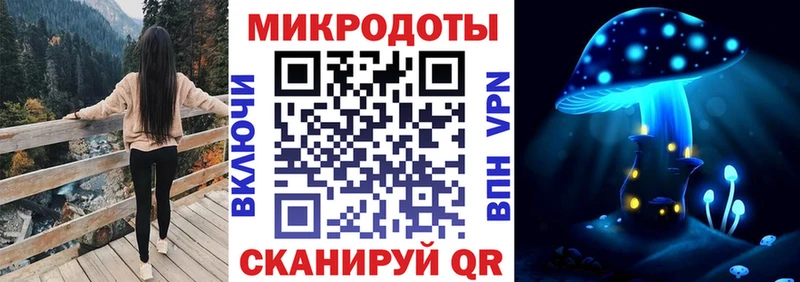 Галлюциногенные грибы Psilocybine cubensis  Тобольск 